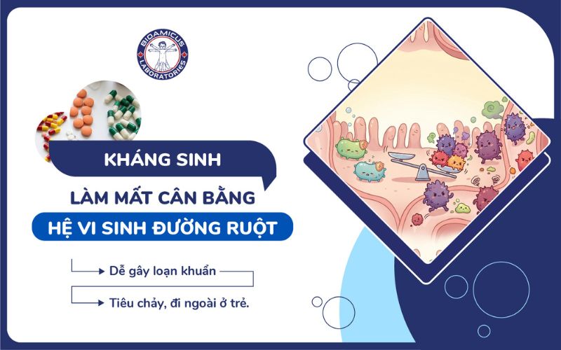 kháng sinh làm mất cân bằng hệ vi sinh đường ruột