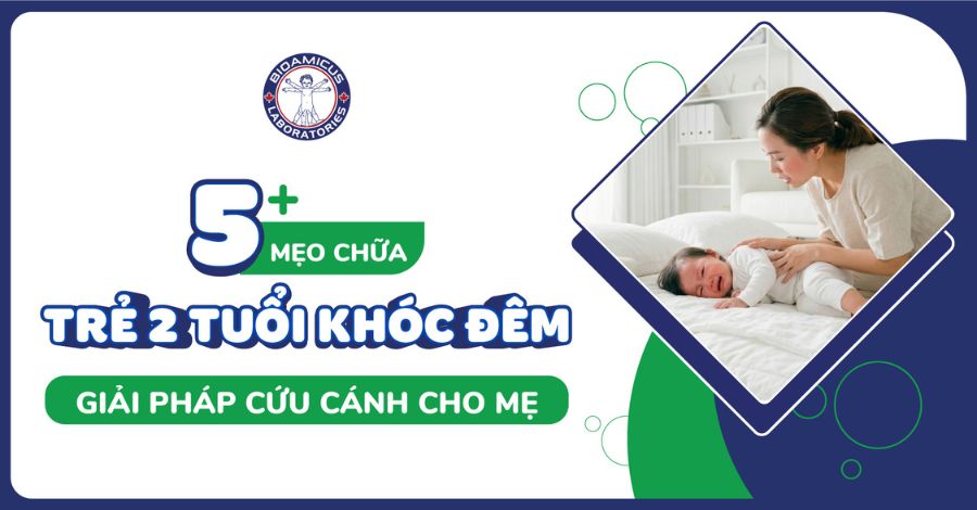 Mẹo chữa trẻ 2 tuổi khóc đêm - Giải pháp cứu cánh dành cho mẹ