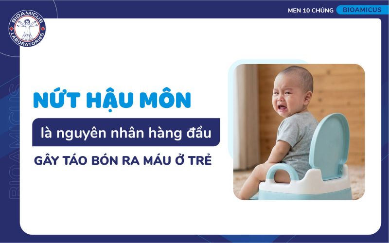 nứt hậu môn là nguyên nhân hàng đầu gây táo bón ra máu
