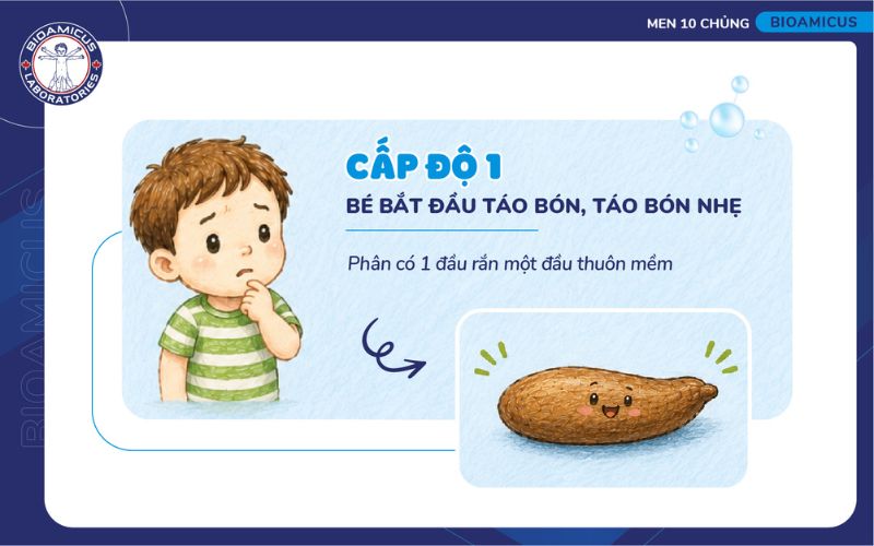 táo bón nhẹ cấp độ 1