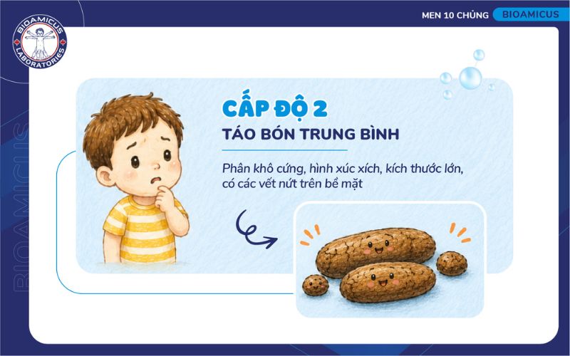 táo bón cấp độ 2 - táo bón trung bình