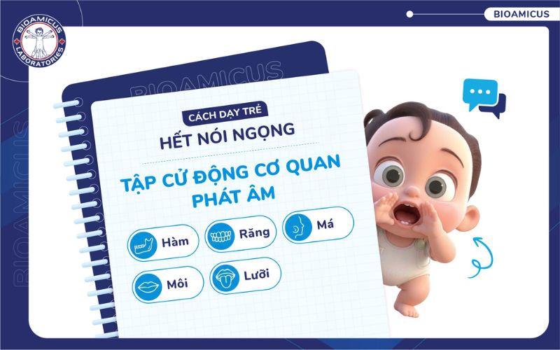 Tập cử động cơ quan ph&aacute;t &acirc;m