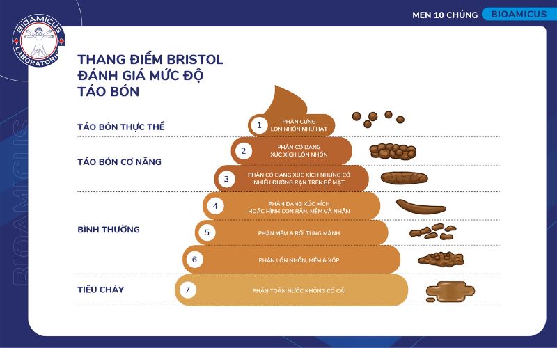 thang điểm bristol đ&aacute;nh gi&aacute; mức độ t&aacute;o b&oacute;n