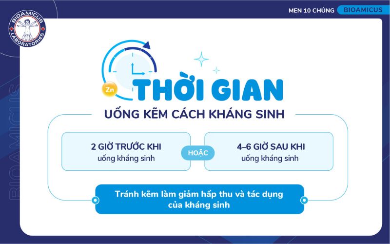 uống kẽm trước kháng sinh 2 giờ hoặc sau 4-6 giờ