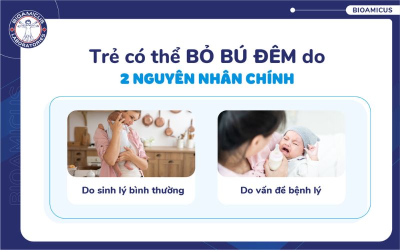trẻ bỏ b&uacute; đ&ecirc;m do sinh l&yacute; hoặc bệnh l&yacute;