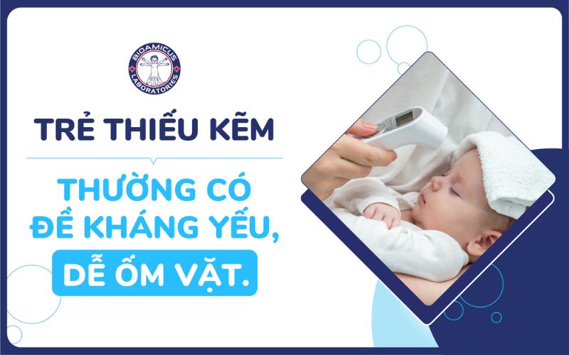 Trẻ thiếu kẽm thường c&oacute; đề kh&aacute;ng k&eacute;m