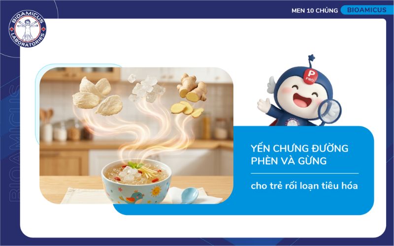yến chưng đường ph&egrave;n v&agrave; gừng cho trẻ bị rối loạn ti&ecirc;u h&oacute;a