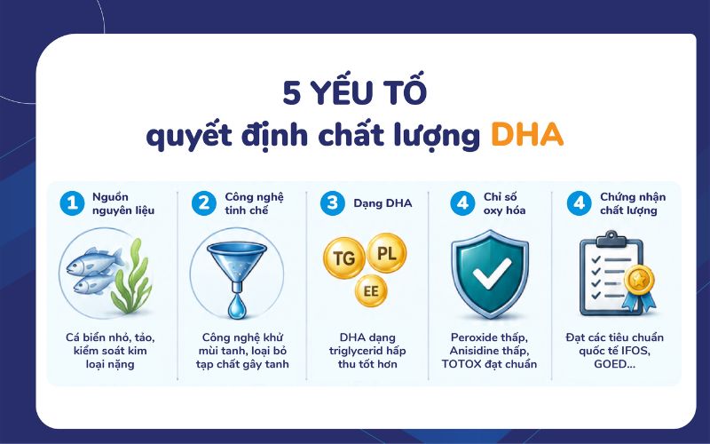 5 yếu tố quyết định chất lượng DHA