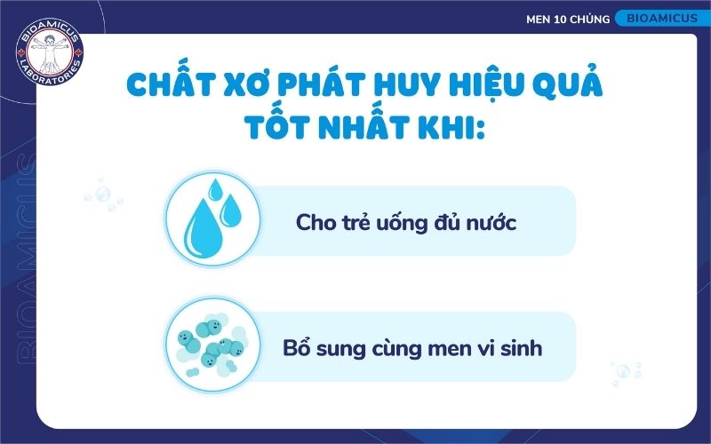 C&aacute;ch để chất xơ ph&aacute;t huy hiệu quả tốt hơn