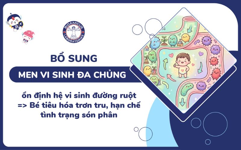 bổ sung men vi sinh đa chủng để gi&uacute;p hạn chế t&igrave;nh trạng s&oacute;n ph&acirc;n