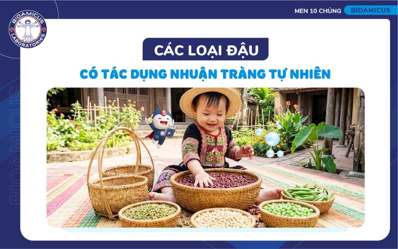 c&aacute;c loại đậu gi&uacute;p nhuận tr&agrave;ng tự nhi&ecirc;n