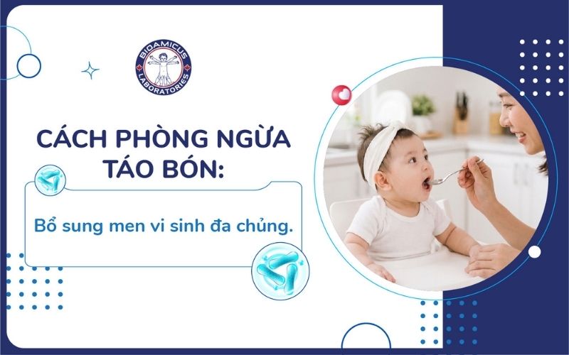 Bổ sung men vi sinh ph&ograve;ng ngừa t&aacute;o b&oacute;n