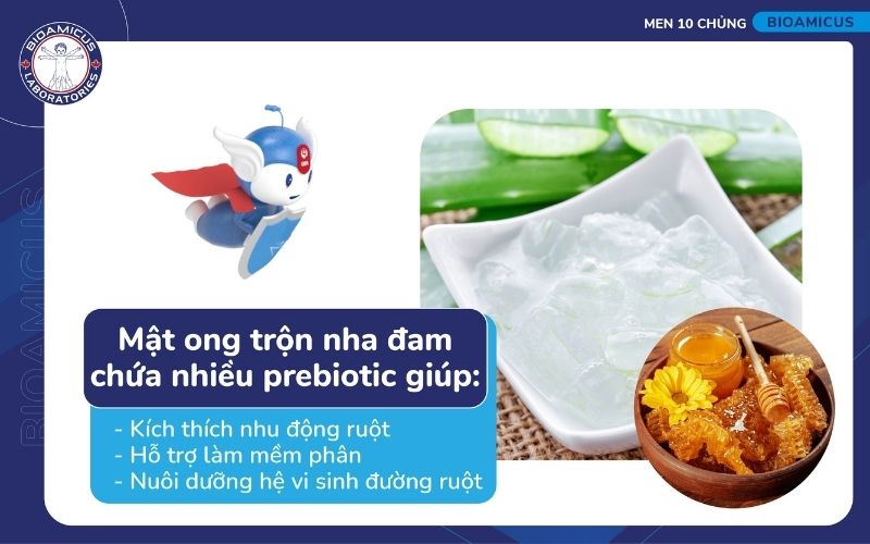 Mật ong trộn nha đam chữa t&aacute;o b&oacute;n
