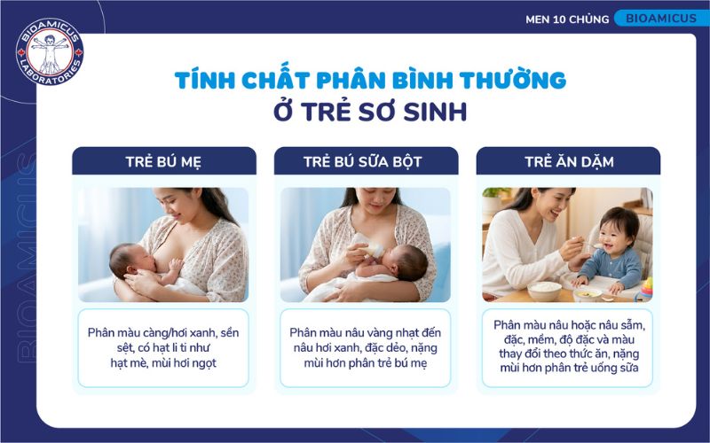 T&iacute;nh chất ph&acirc;n b&igrave;nh thường ở trẻ sơ sinh