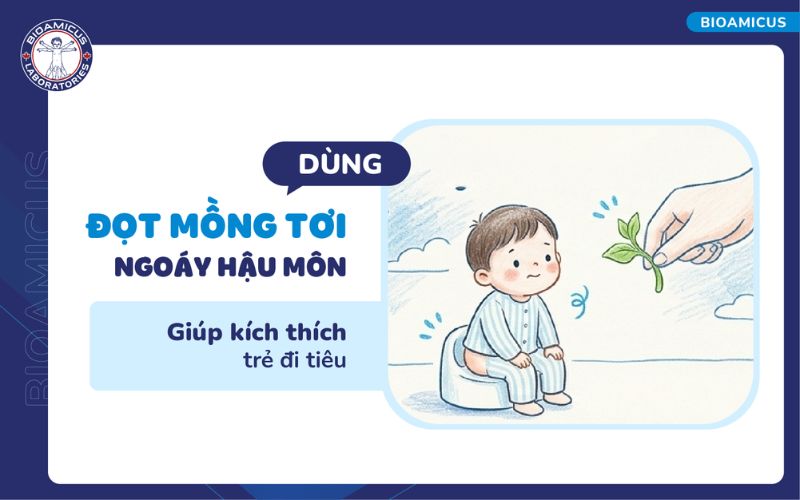 Đọt mồng tơi ngo&aacute;y hậu m&ocirc;n