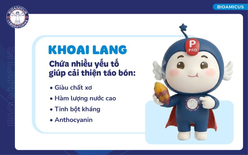 Khoai lang chứa nhiều yếu tố gi&uacute;p cải thiện t&aacute;o b&oacute;n