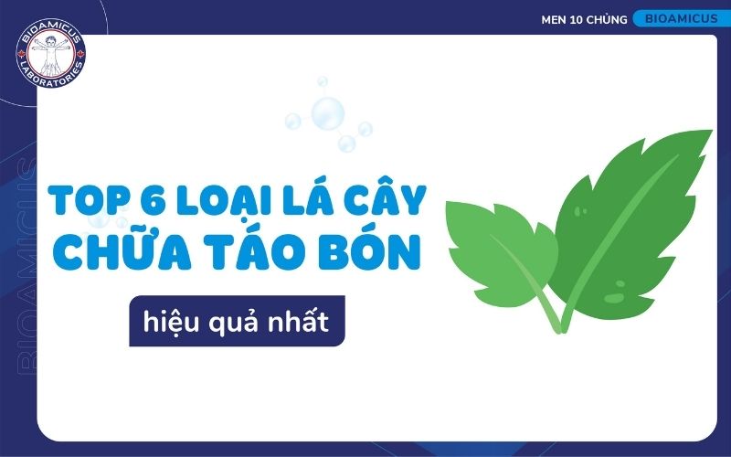 l&aacute; c&acirc;y chữa t&aacute;o b&oacute;n