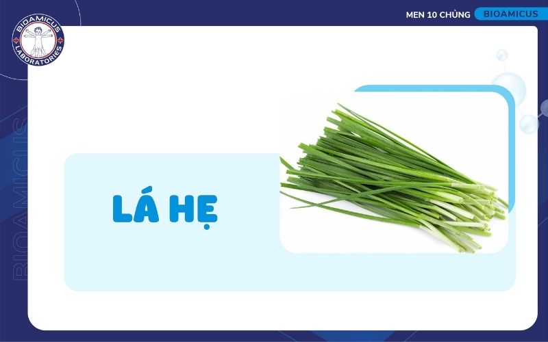 L&aacute; hẹ chữa t&aacute;o b&oacute;n