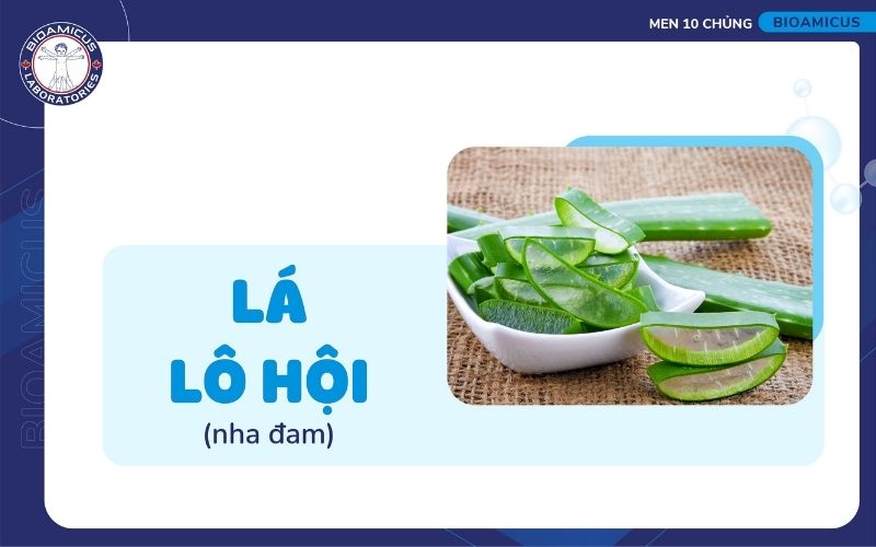 L&ocirc; hội chữa t&aacute;o b&oacute;n