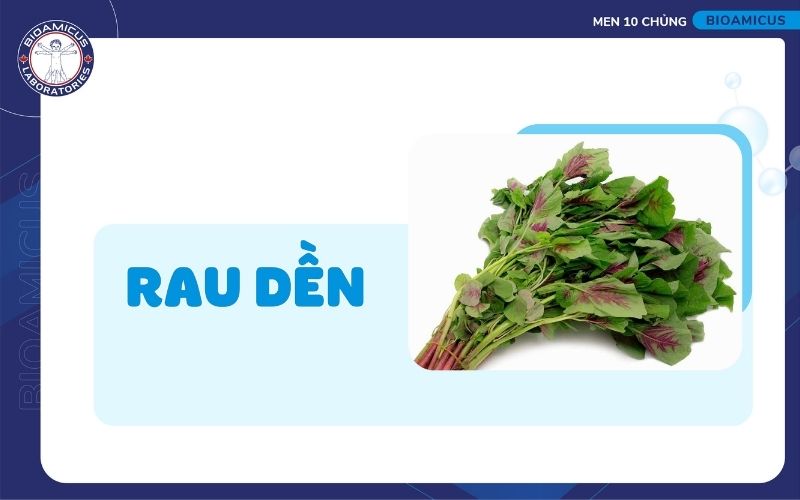 Rau dền chữa t&aacute;o b&oacute;n