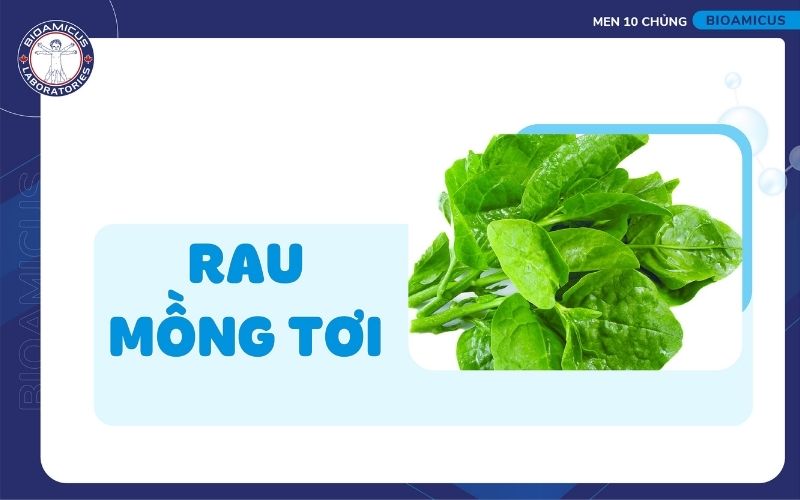 Mồng tơi chữa t&aacute;o b&oacute;n