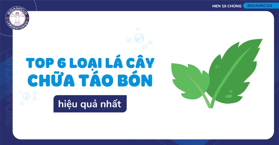 Top 6 loại lá cây chữa táo bón hiệu quả nhất!