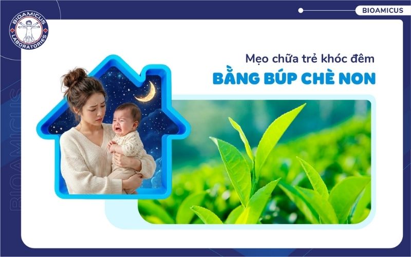 Chữa kh&oacute;c đ&ecirc;m, kh&oacute;c dạ đề bằng b&uacute;p tr&agrave; non