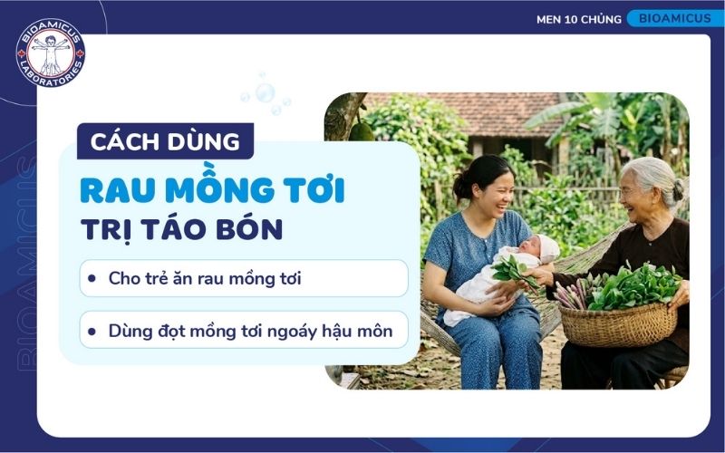 Mẹo dân gian chữa táo bón bằng mồng tơi