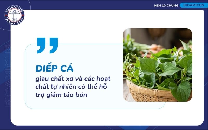 Diếp c&aacute; gi&agrave;u chất xơ v&agrave; hoạt chất hỗ trợ t&aacute;o b&oacute;n