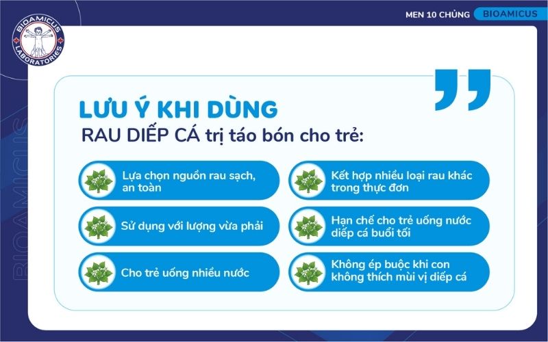 lưu &yacute; khi sử dụng rau diếp c&aacute; trị t&aacute;o b&oacute;n