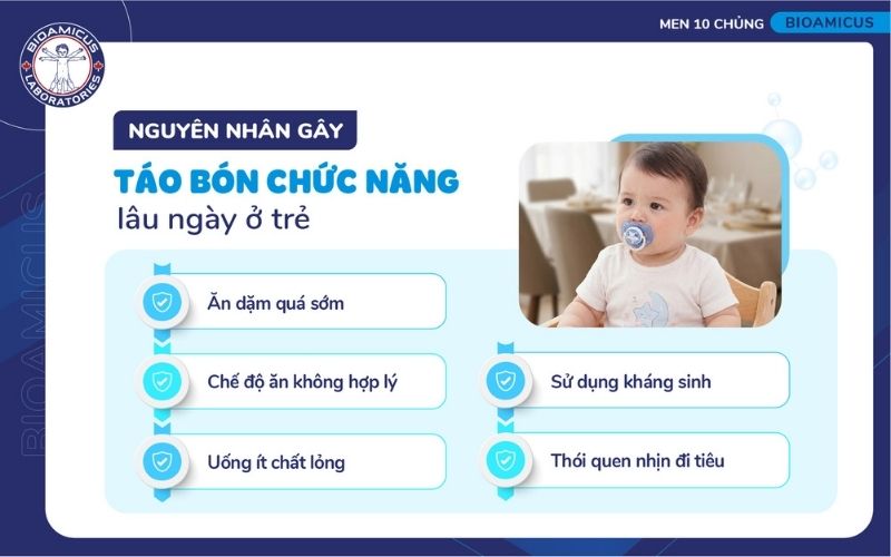 Nguy&ecirc;n nh&acirc;n từ ăn uống sinh hoạt c&oacute; thể g&acirc;y t&aacute;o b&oacute;n l&acirc;u ng&agrave;y