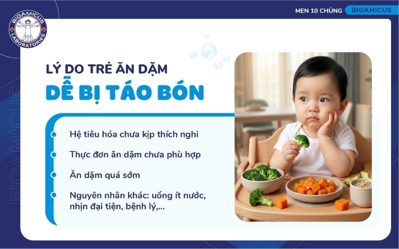 L&yacute; do trẻ ăn dặm dễ bị t&aacute;o b&oacute;n