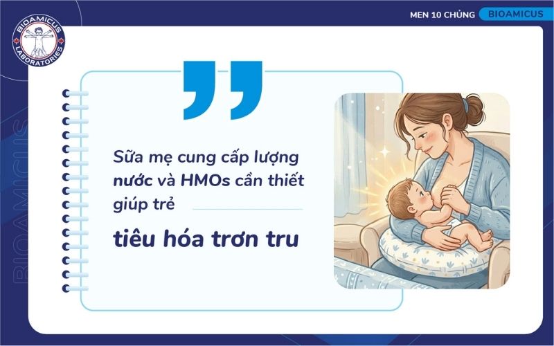 Trẻ t&aacute;o b&oacute;n cần được b&uacute; mẹ nhiều hơn