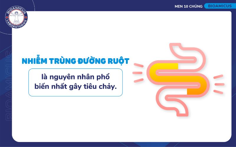 Nhiễm tr&ugrave;ng đường ruột g&acirc;y ti&ecirc;u chảy
