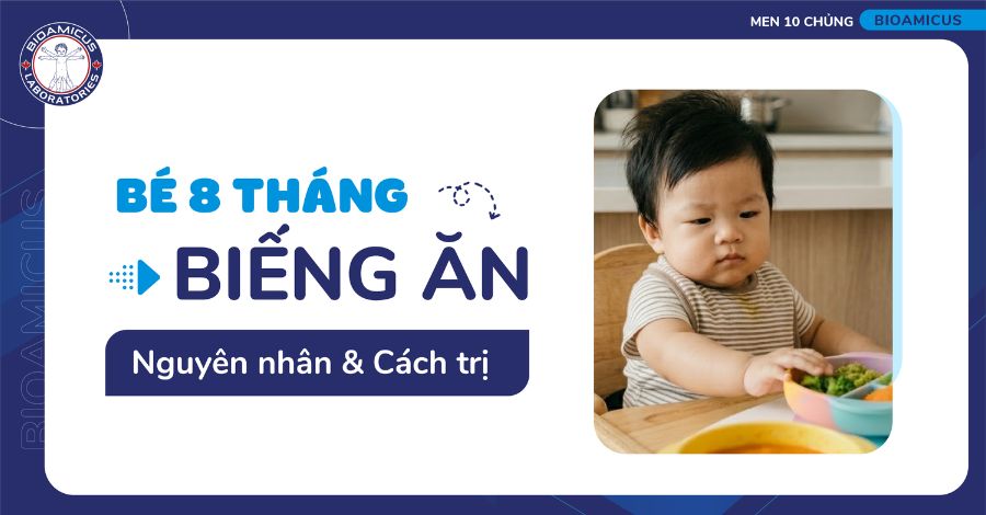 Trẻ 8 tháng biếng ăn: Nguyên nhân & 5 Cách trị tại nhà