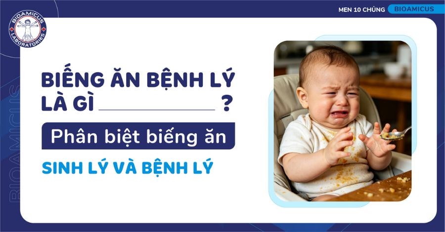 Biếng ăn bệnh lý là gì? Phân biệt biếng ăn sinh lý và bệnh lý
