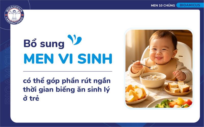 Bổ sung men vi sinh c&oacute; thể hỗ trợ cải thiện biếng ăn
