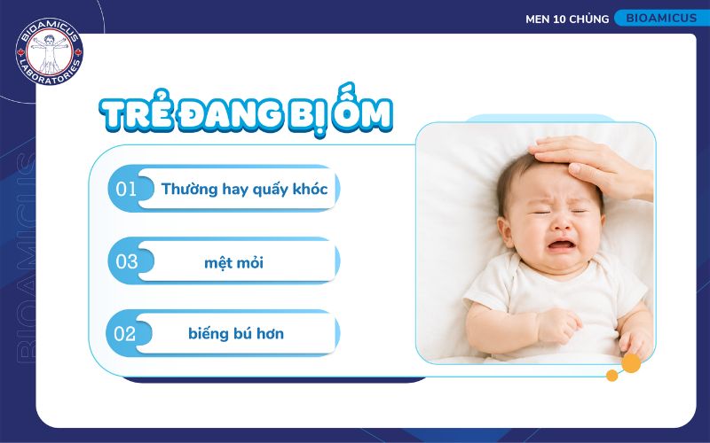 Ba mẹ cần lưu &yacute; nếu trẻ biếng ăn k&egrave;m mệt mỏi, quấy kh&oacute;c