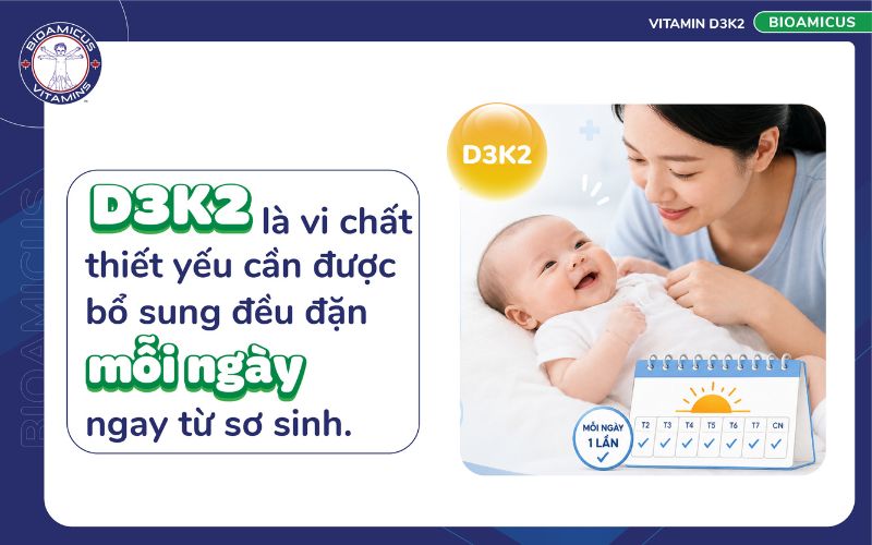 D3K2 cần được bổ sung đều đặn