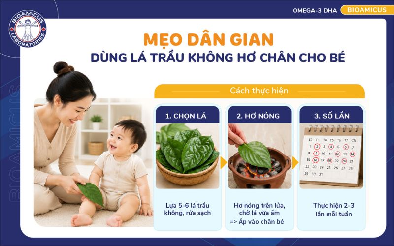 mẹo d&ugrave;ng l&aacute; trầu hơ ch&acirc;n cho b&eacute; nhanh biết đi