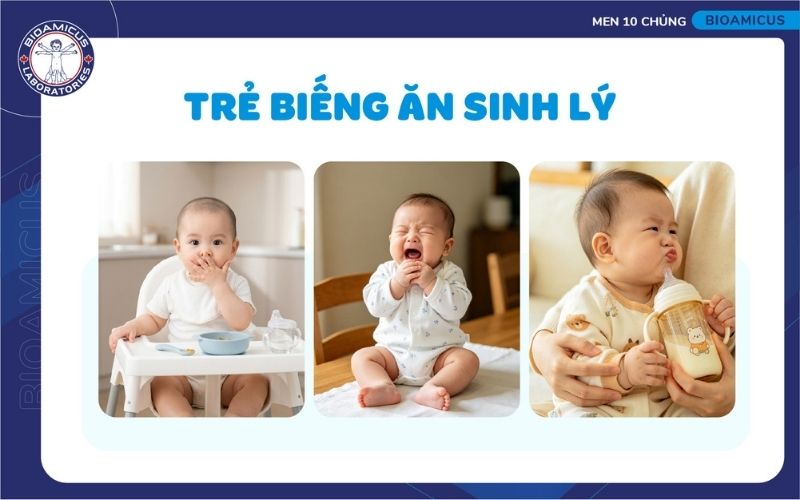 L&agrave;m g&igrave; khi trẻ biếng ăn sinh l&yacute;?