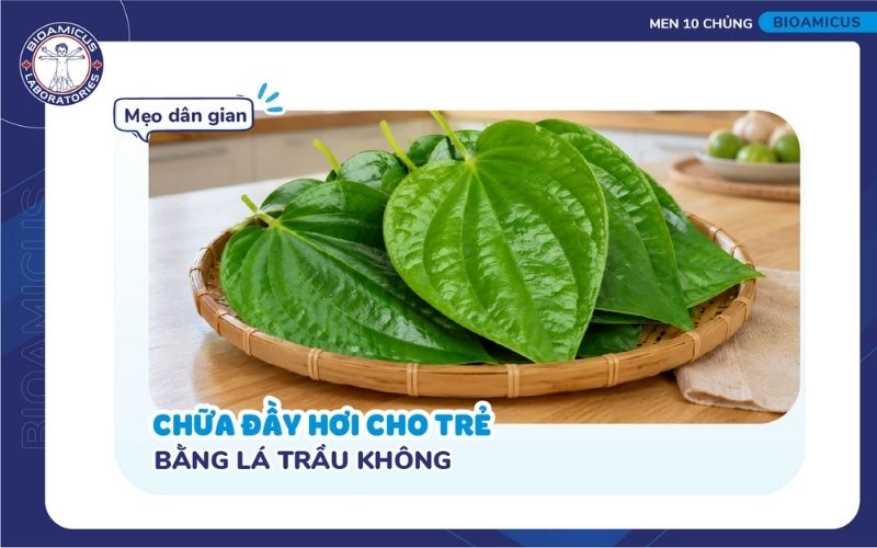 Mẹo d&acirc;n gian chữa đầy hơi bằng l&aacute; trầu kh&ocirc;ng