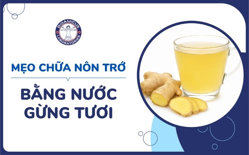 Gừng tươi l&agrave; mẹo d&acirc;n gian chữa n&ocirc;n trớ ở trẻ sơ sinh hiệu quả