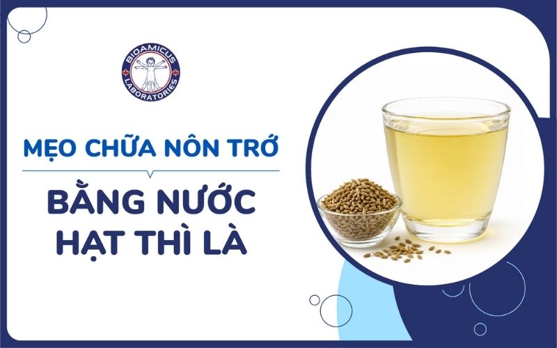 Mẹo d&acirc;n gian chữa n&ocirc;n trớ bằng hạt th&igrave; l&agrave;