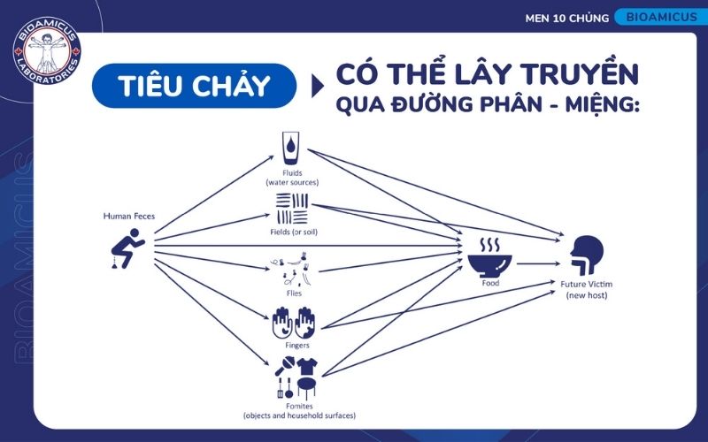 Đường phân miệng