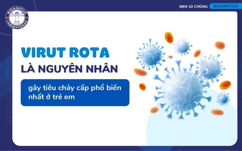 Rotavirus – nguyên nhân chủ yếu gây tiêu chảy cấp ở trẻ em