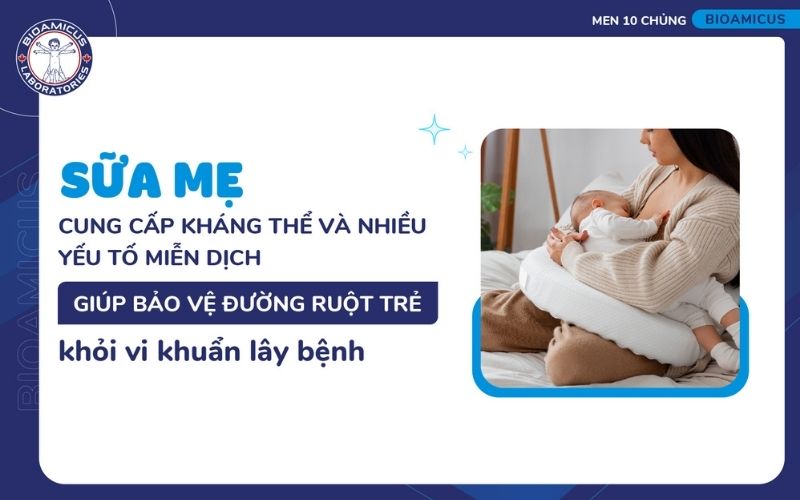 Sữa mẹ chứa nhiều yếu tố miễn dịch