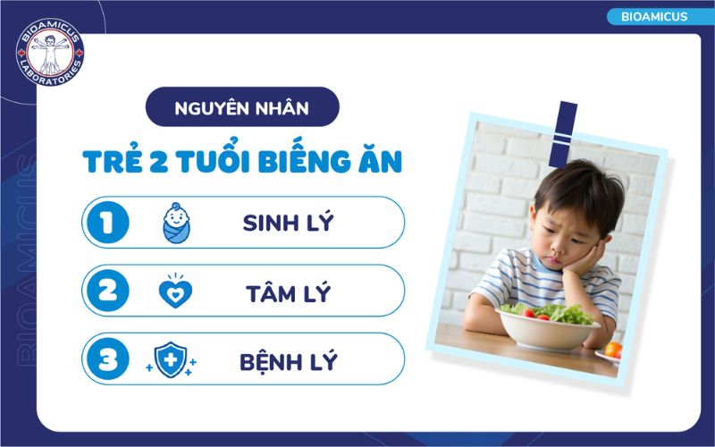 Nguyên nhân trẻ 2 tuổi biếng ăn