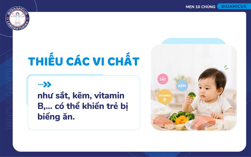 Thiếu vi chất dinh dưỡng khiến trẻ biếng ăn