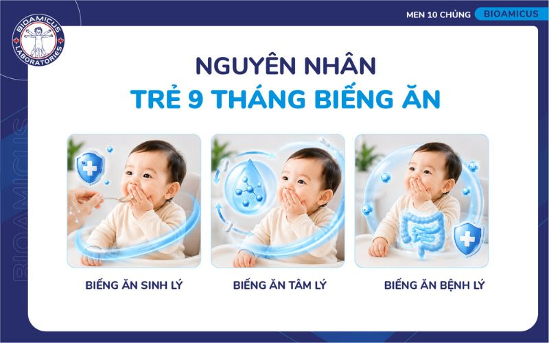 Nguy&ecirc;n nh&acirc;n trẻ 9 th&aacute;ng biếng ăn
